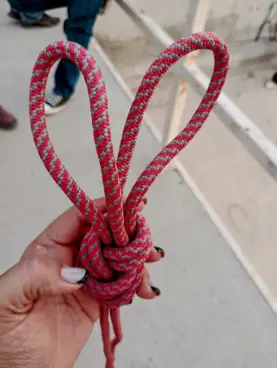 oreja_1